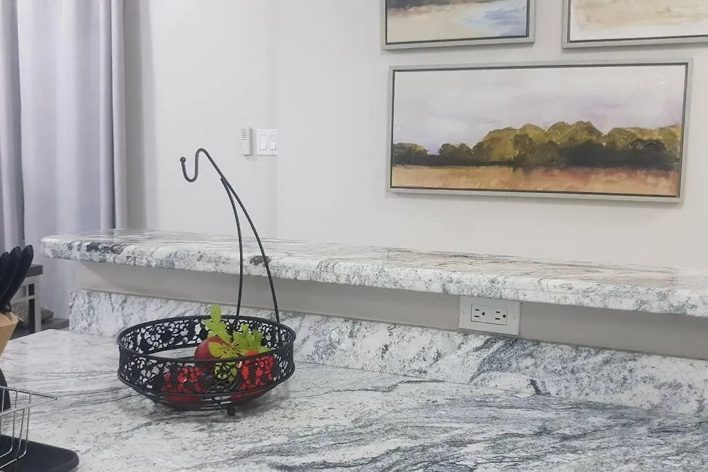 5 Star Fresh Condo In New Kingston Apartment
