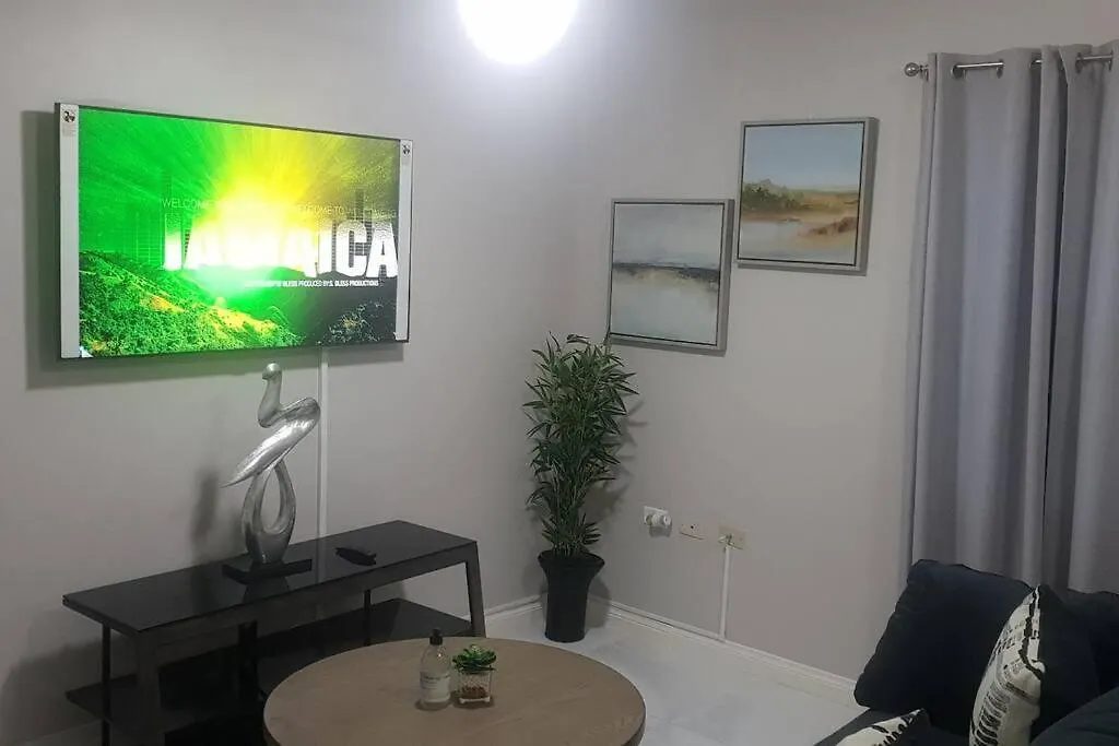 5 Star Fresh Condo In New Kingston